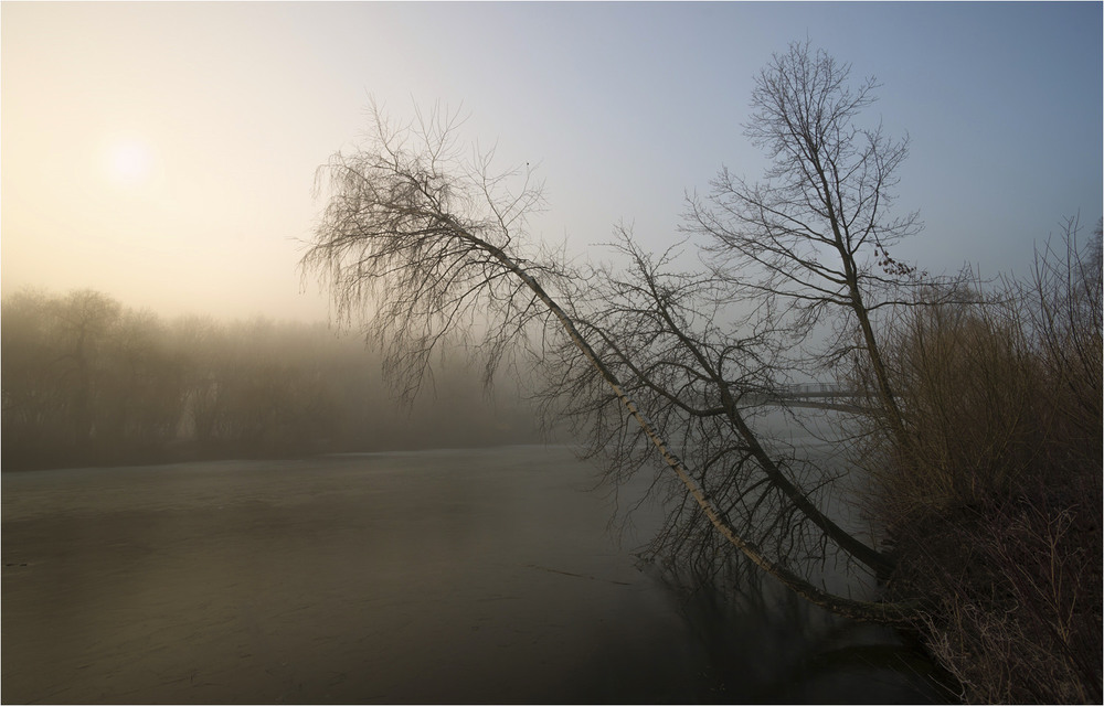 Фотографія Мартовским утром / Ігор / photographers.ua