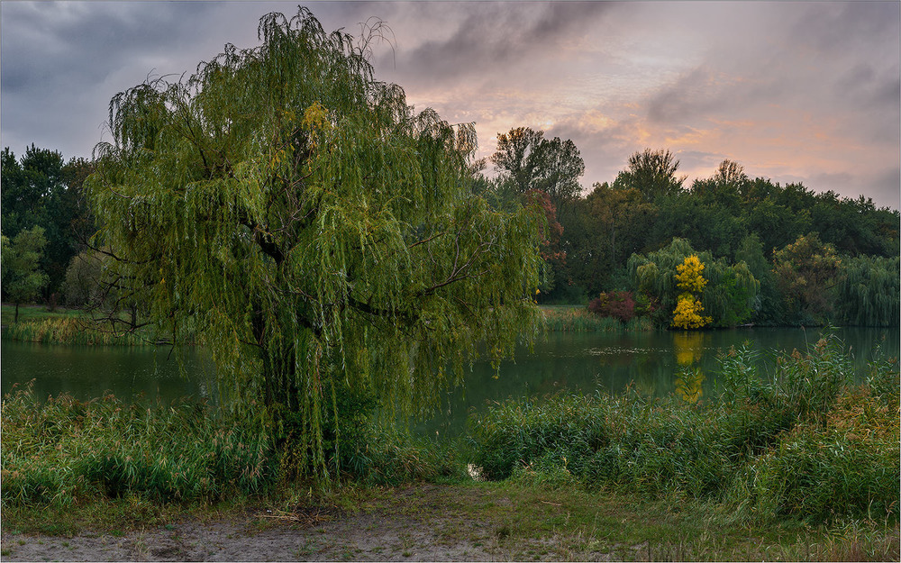 Фотографія ... / Ігор / photographers.ua