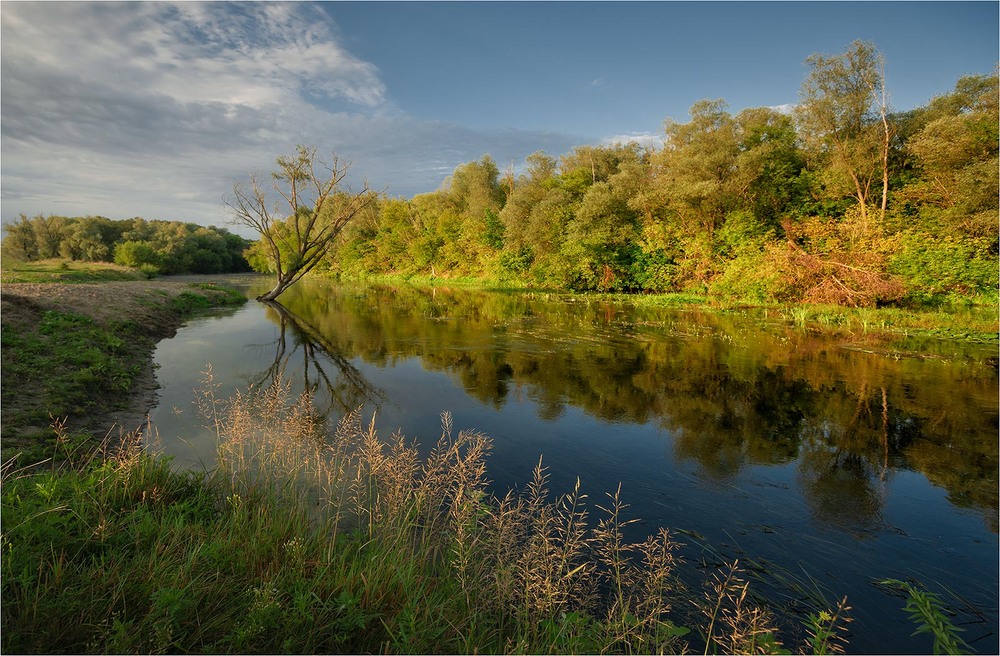 Фотографія Ранок на Пслі / Ігор Харківський / photographers.ua