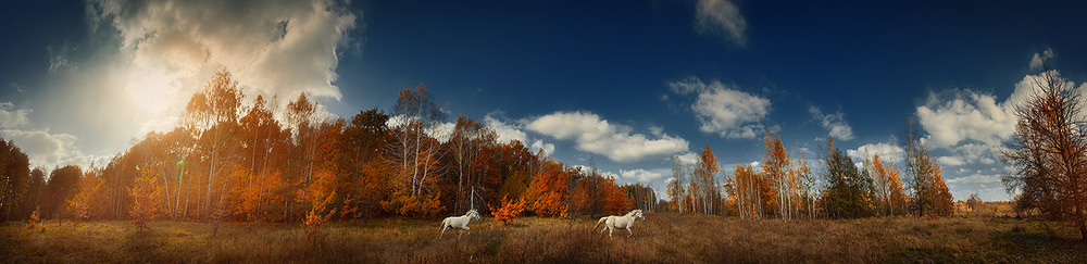 Фотографія *** / Сергій Краснянський / photographers.ua