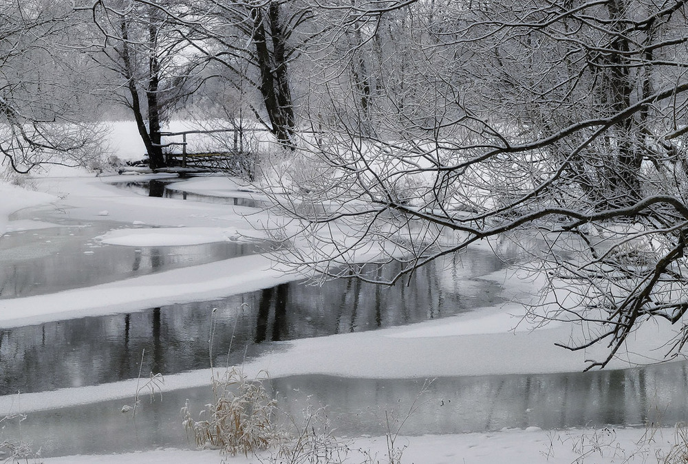 Фотографія Спогад про зиму / Олександр Сбітний / photographers.ua