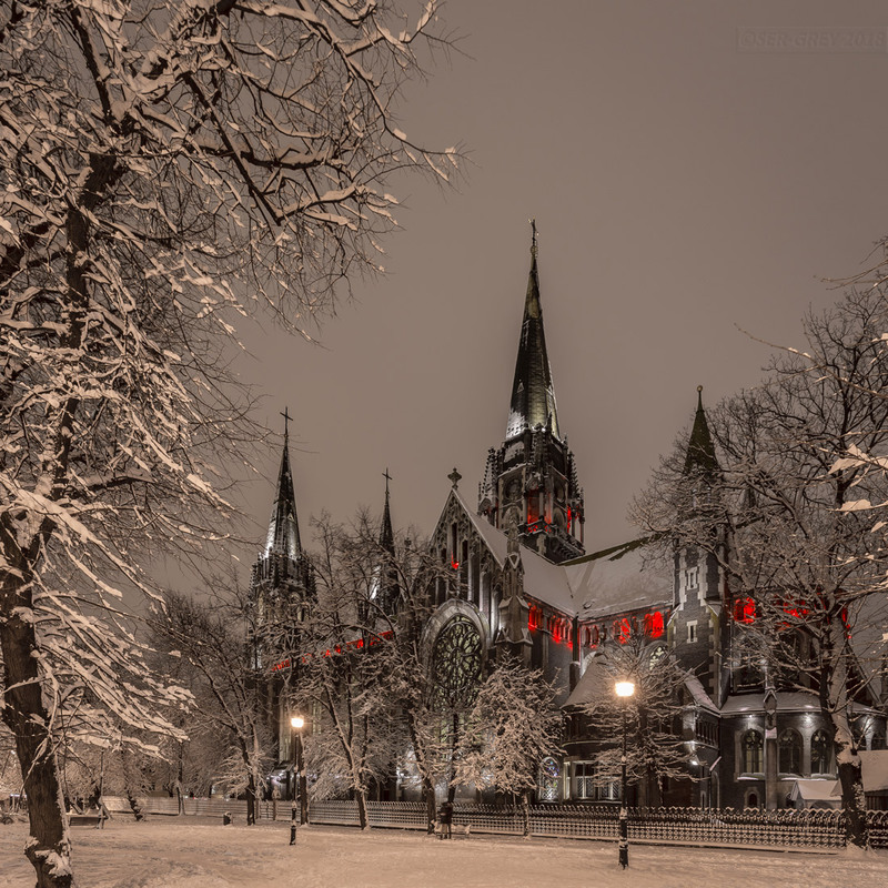 Фотографія В зимнем наряде) / Ser Grey / photographers.ua