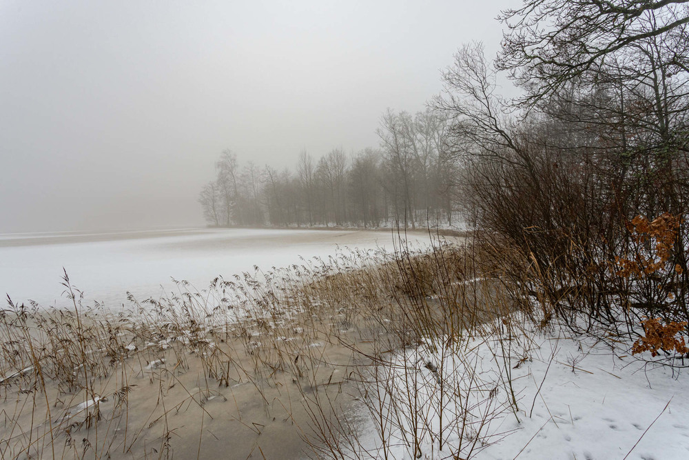 Фотографія Туманный день на Озере. / Олег / photographers.ua