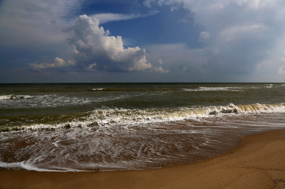 Фотографія Мое теплое и ласковое море / Нилла Шарафан / photographers.ua