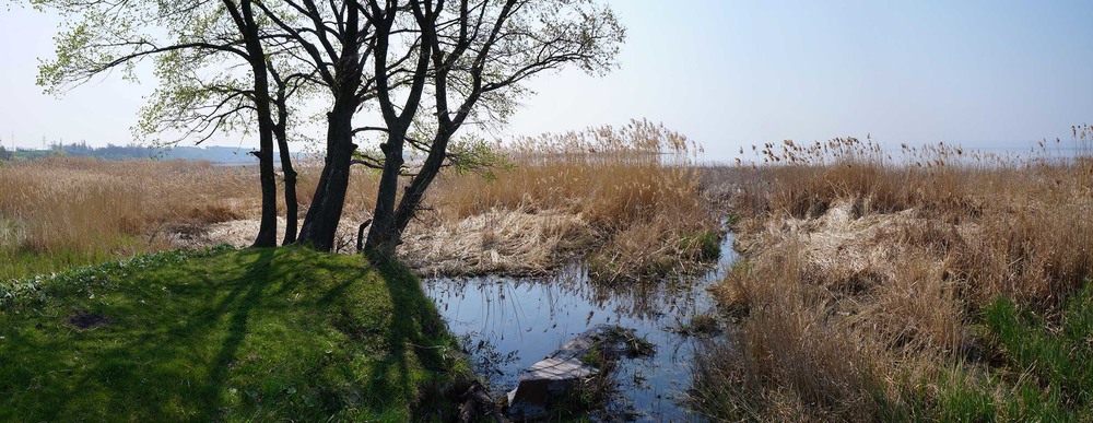Фотографія Весна над затопленими селами Переяславщини / Георгій Погожий / photographers.ua