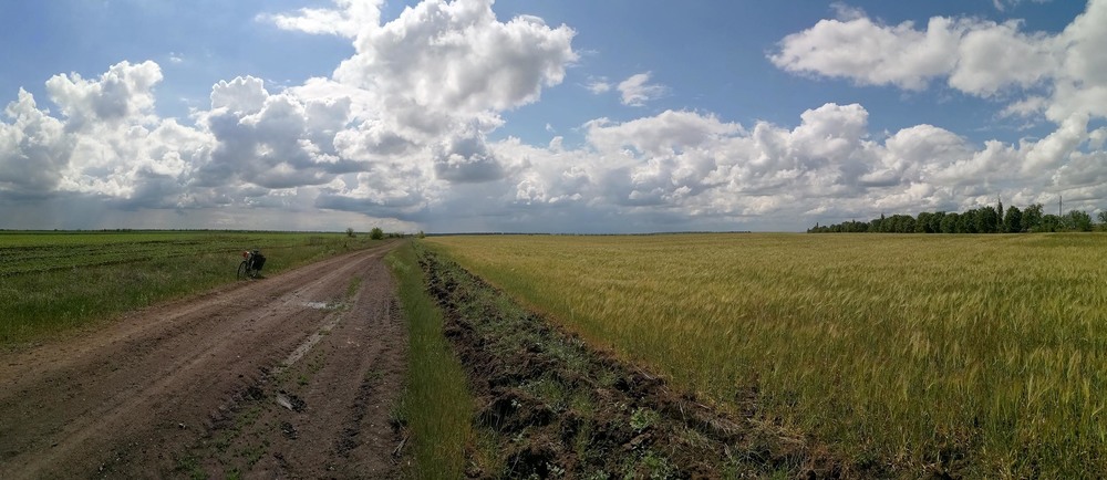 Фотографія Степова дорога після дощів / Георгій Погожий / photographers.ua
