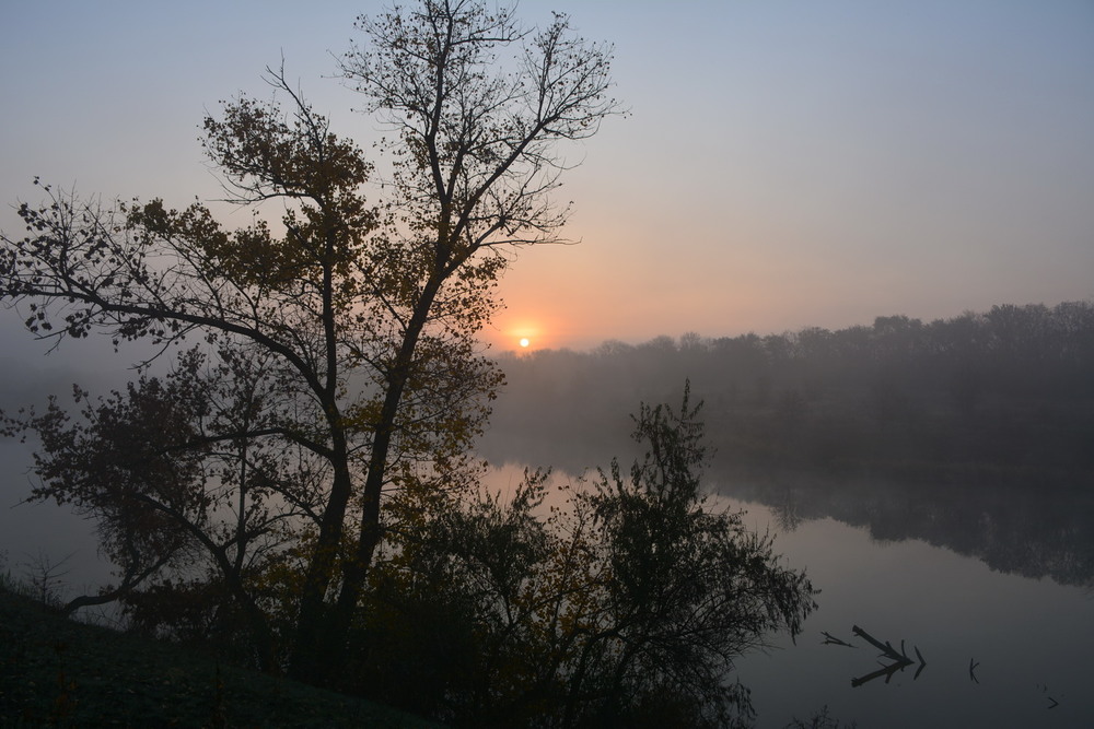 Фотографія Осінній ранок, прохолода... / Петряєва Тетяна / photographers.ua