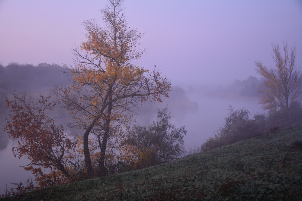 Фотографія Туман і тиша, тиша і туман... / Петряєва Тетяна / photographers.ua