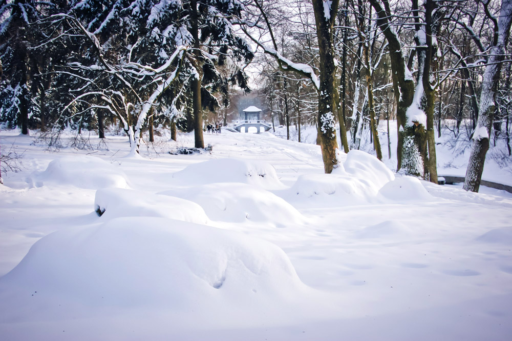 Фотографія Зимний парк Александрия / Vital Chegavara / photographers.ua