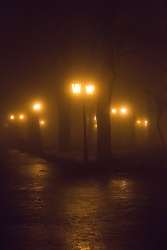 Фотографія ночной горсад в тумане / Паланичка Оксана Владимировна / photographers.ua