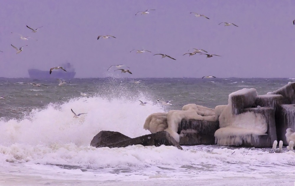 Фотографія шторм на море / Паланичка Оксана Владимировна / photographers.ua