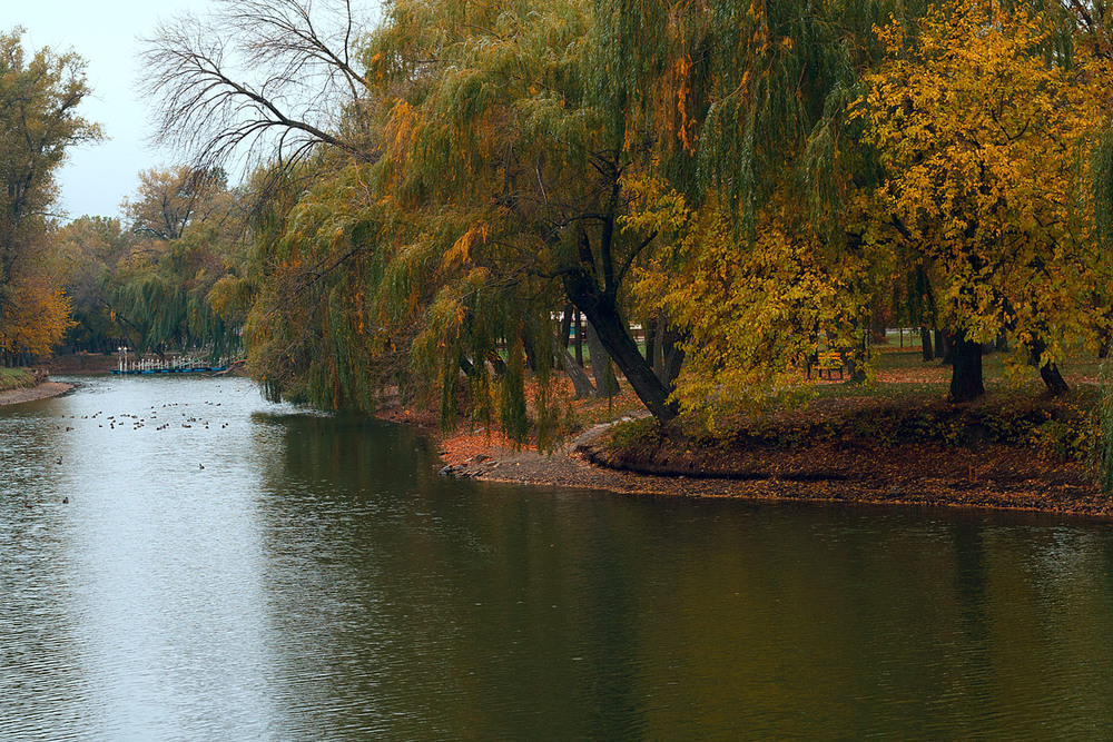 Фотографія Пейзаж / Serhii Anatolevich / photographers.ua