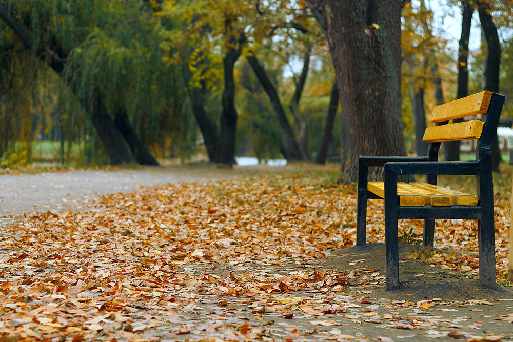 Фотографія Город, архитектура / Serhii Anatolevich / photographers.ua