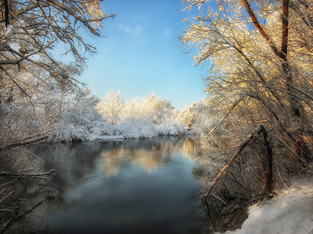 Фотографія Мороз и солнце... / Бурлака Олег / photographers.ua