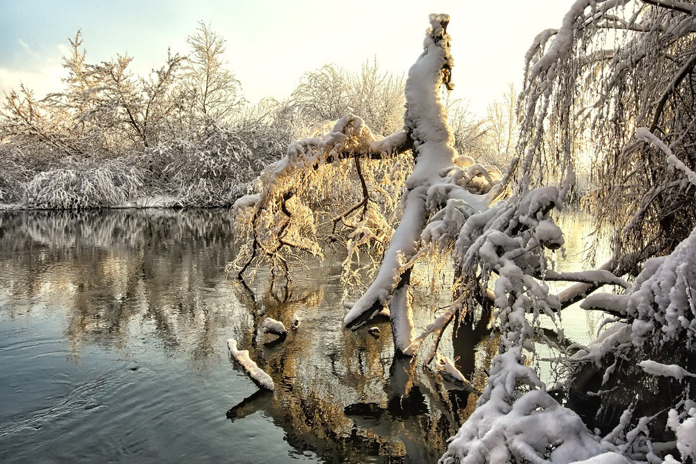 Фотографія Причуды зимы / Бурлака Олег / photographers.ua