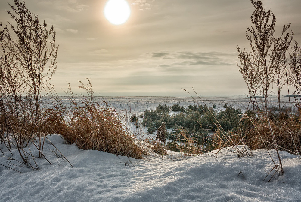 Фотографія Зимова картинка / Бурлака Олег / photographers.ua