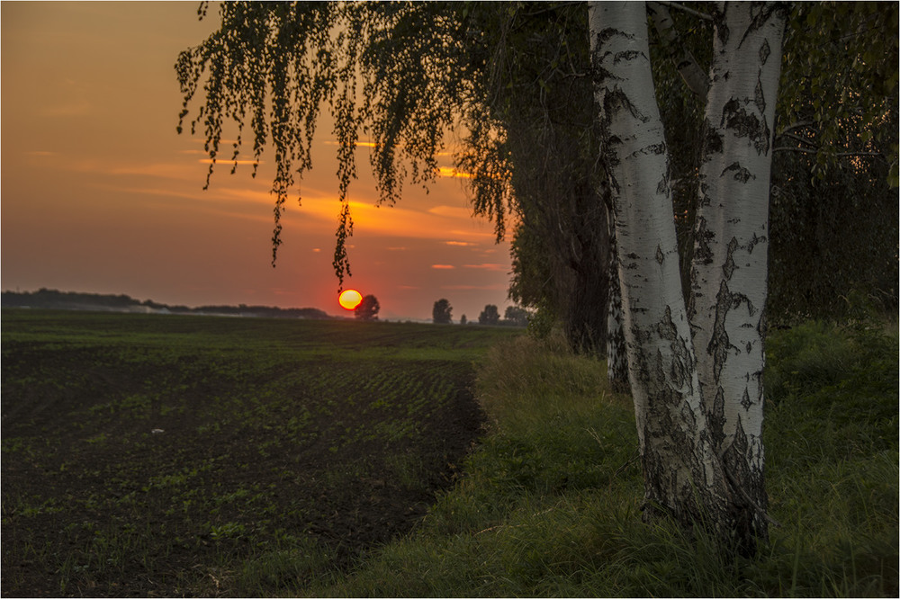 Фотографія закат в дороге / Star / photographers.ua