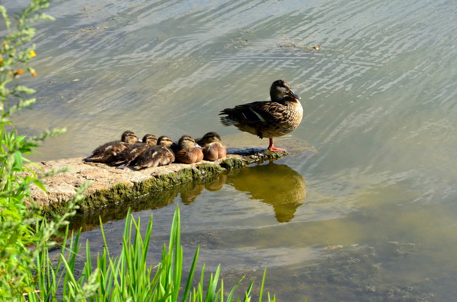 Фотографія Пейзаж / Александр Красовский / photographers.ua