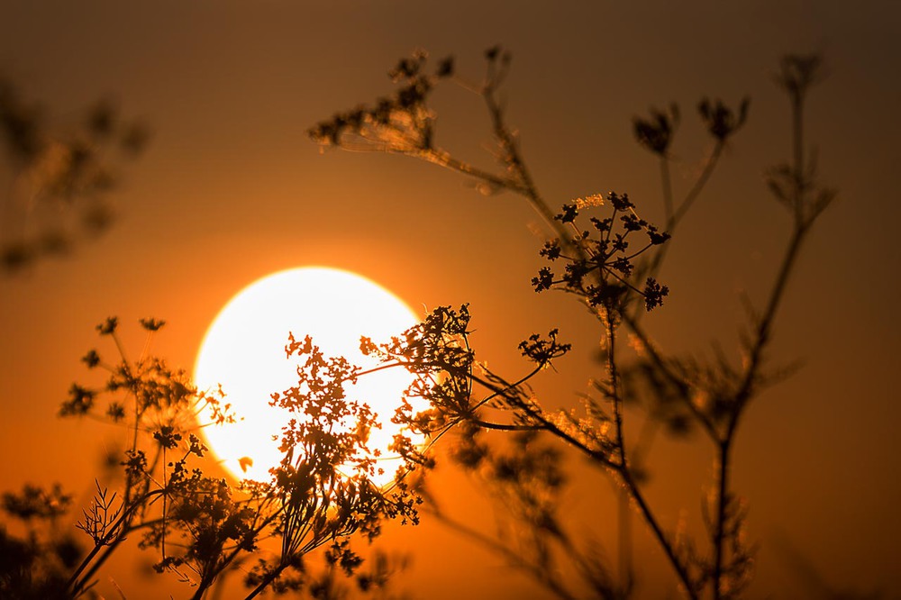 Фотографія Sunset / Frank Hausdoerfer / photographers.ua