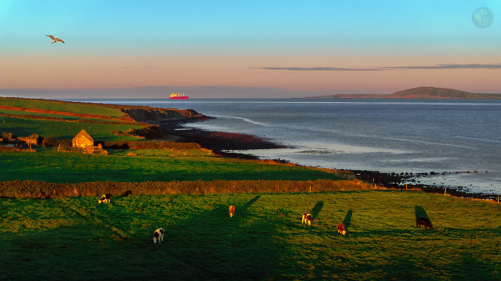 Фотографія Сósta an Atlantaigh * Atlantic coast * Узбережжя Атлантики - North of Co. Karry, Ireland / Сенсей / photographers.ua