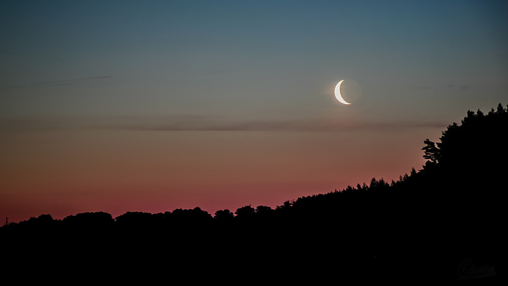 Фотографія Місяць зійшов / Сенсей / photographers.ua