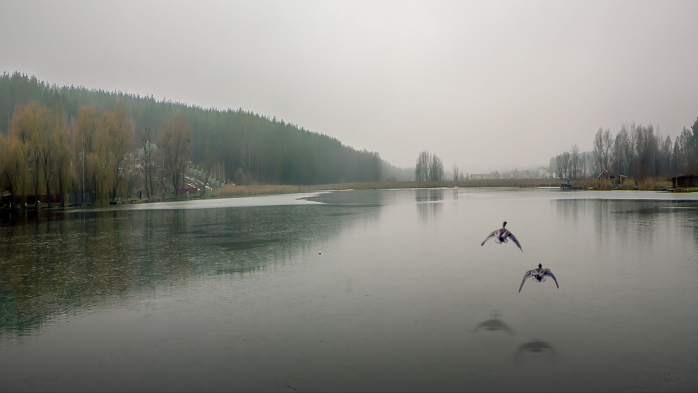Фотографія річка Сіверка / Сенсей / photographers.ua