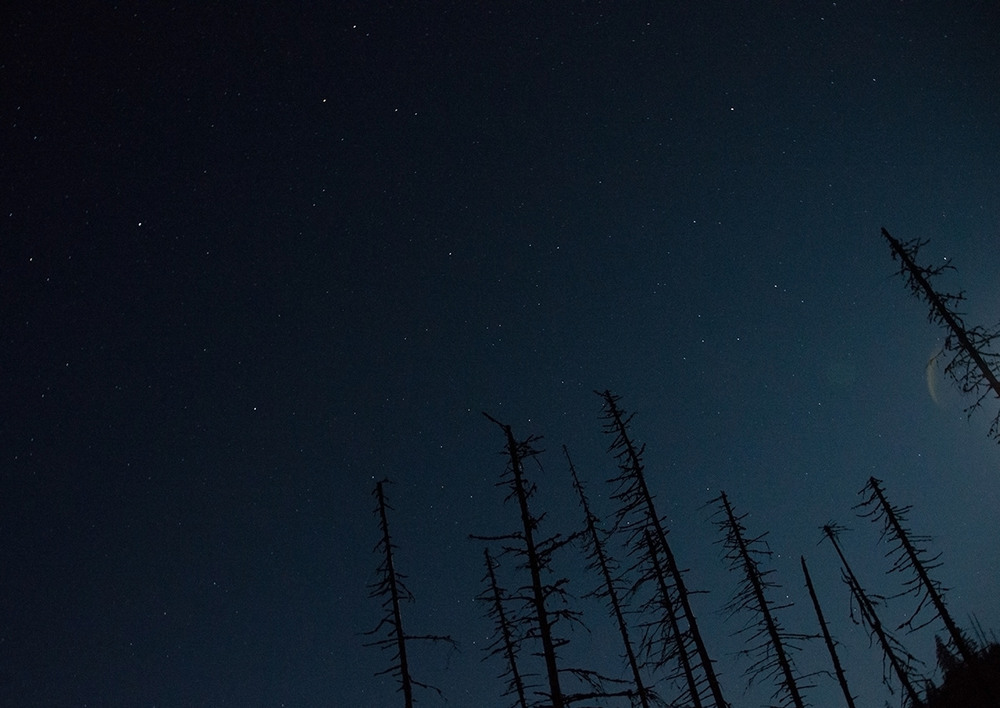 Фотографія to the stars / Tetiana Turchyn / photographers.ua