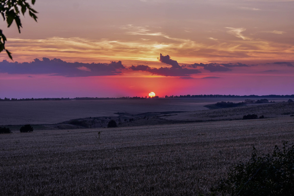 Фотографія Sunset in the field / Олег Роменский / photographers.ua