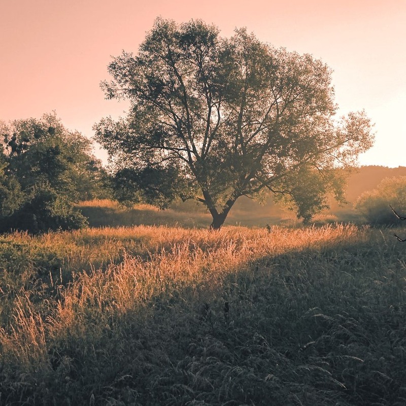 Фотографія Пейзаж / Nazar Vorozhbyt / photographers.ua