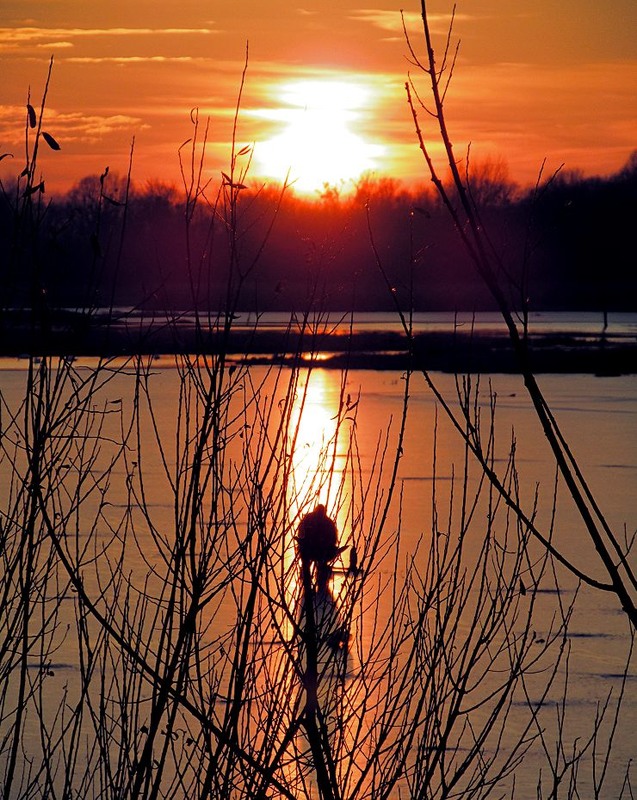 Фотографія Зимняя рыбалка на закате / Nazar Vorozhbyt / photographers.ua