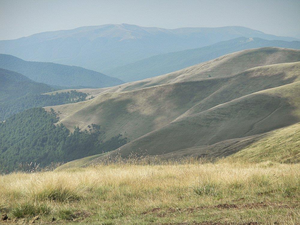 Фотографія Хребет Свидовець 2 / Nazar Vorozhbyt / photographers.ua