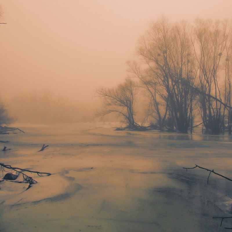 Фотографія Последние краски зимы / Nazar Vorozhbyt / photographers.ua
