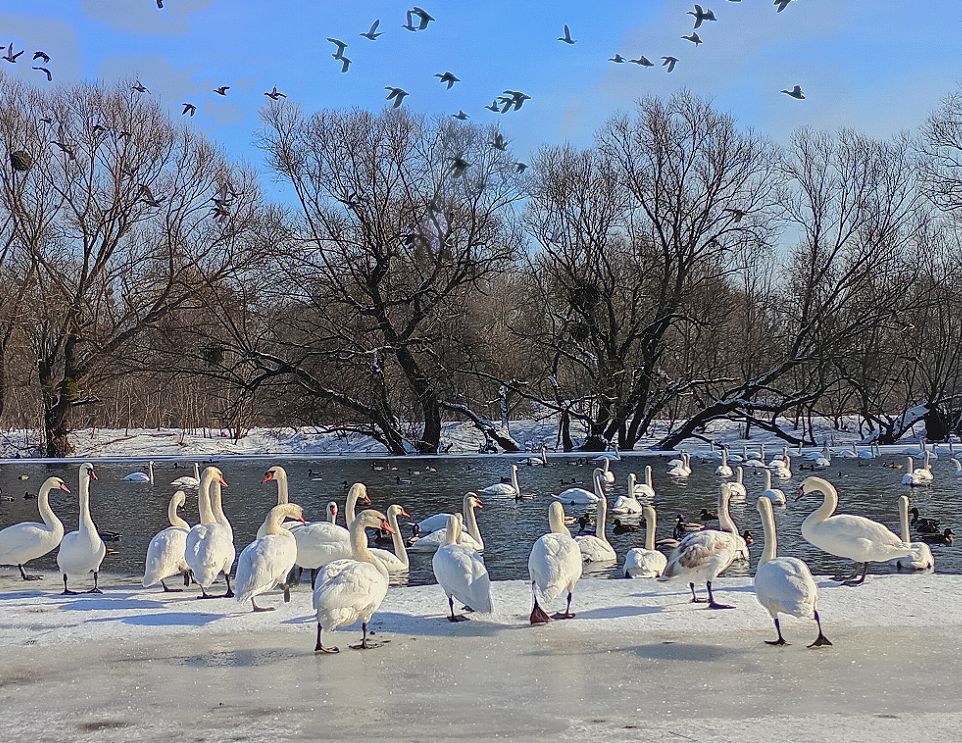 Фотографія Пейзаж / Nazar Vorozhbyt / photographers.ua