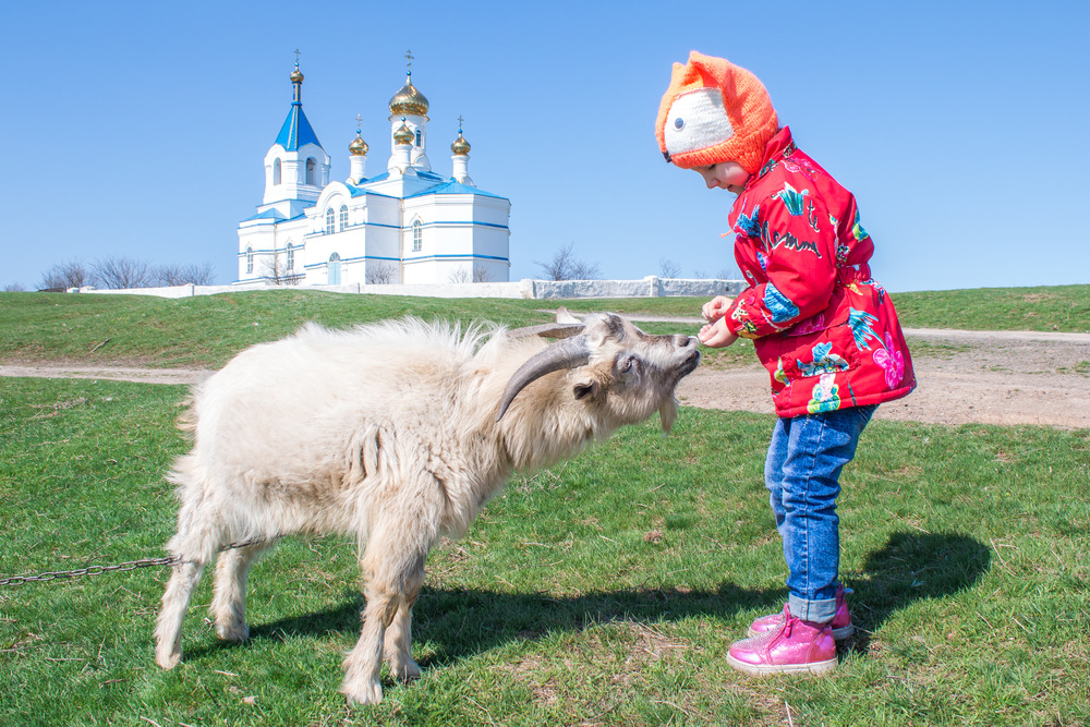 Фотографія Алиса и коза / Дина Горбачева / photographers.ua