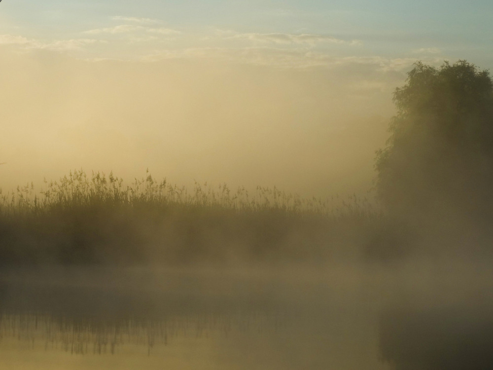 Фотографія На реке туман рассветный / Anna Sokolova / photographers.ua