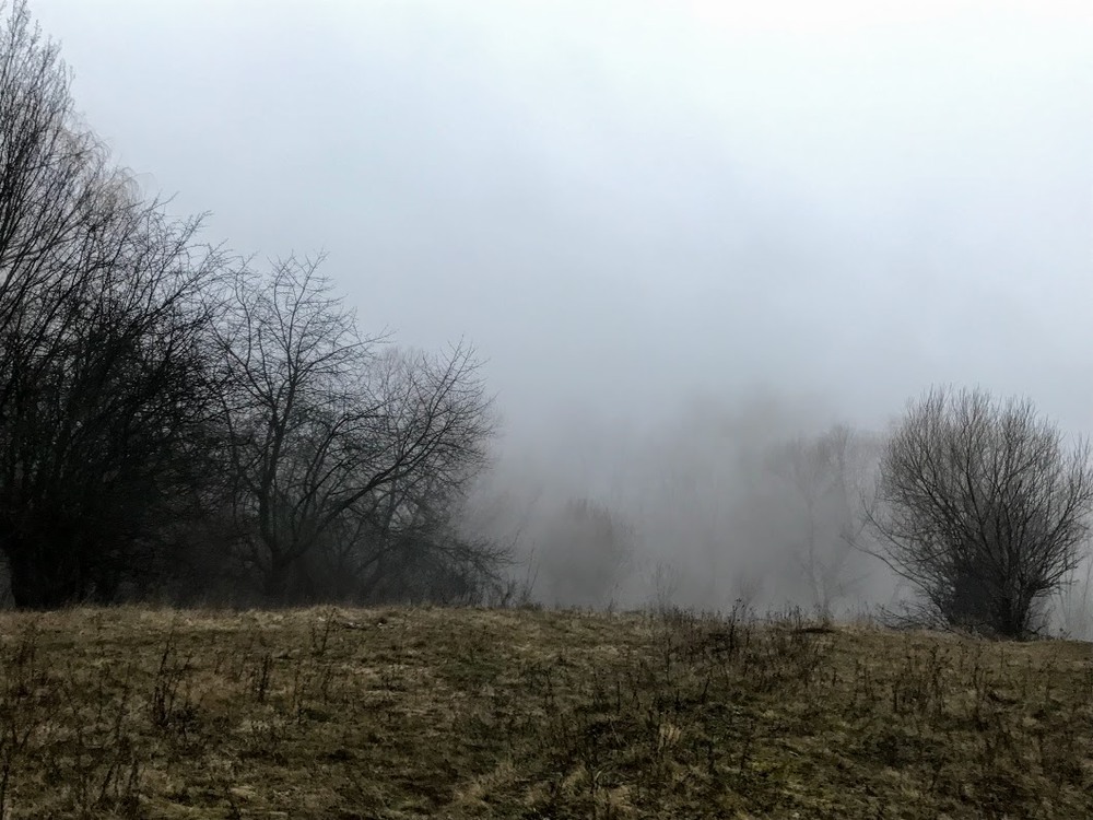 Фотографія белый туман слился с пепельным дымом, мартовский дождь , наконец, перестал / Lyudmila Redko / photographers.ua