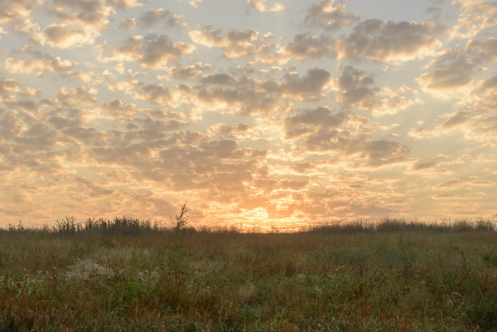 Фотографія Рассвет / Андрей Попов / photographers.ua