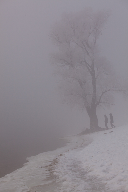Фотографія Зимний туман / Константин Гомон / photographers.ua