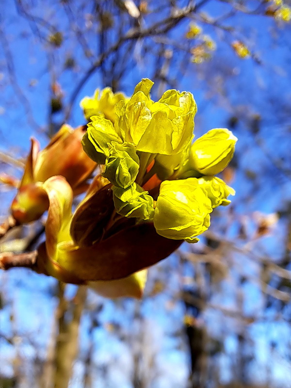 Фотографія "" / Alexzt / photographers.ua