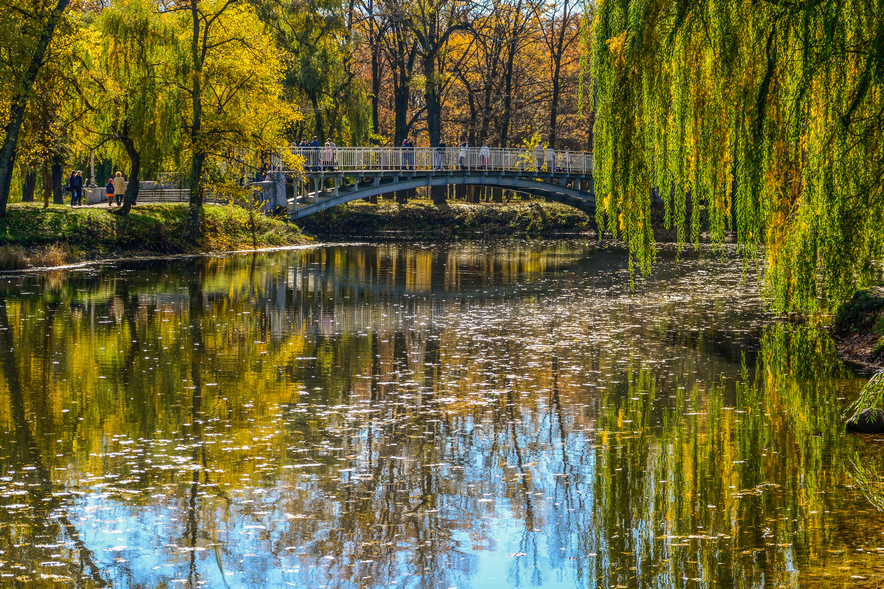 Фотографія Місток закоханих восени / Сергій Корнієнко / photographers.ua