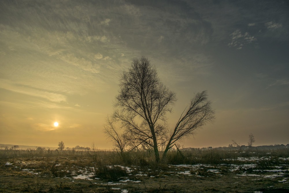 Фотографія #When the Cold Comes / Сергей Фирсов / photographers.ua