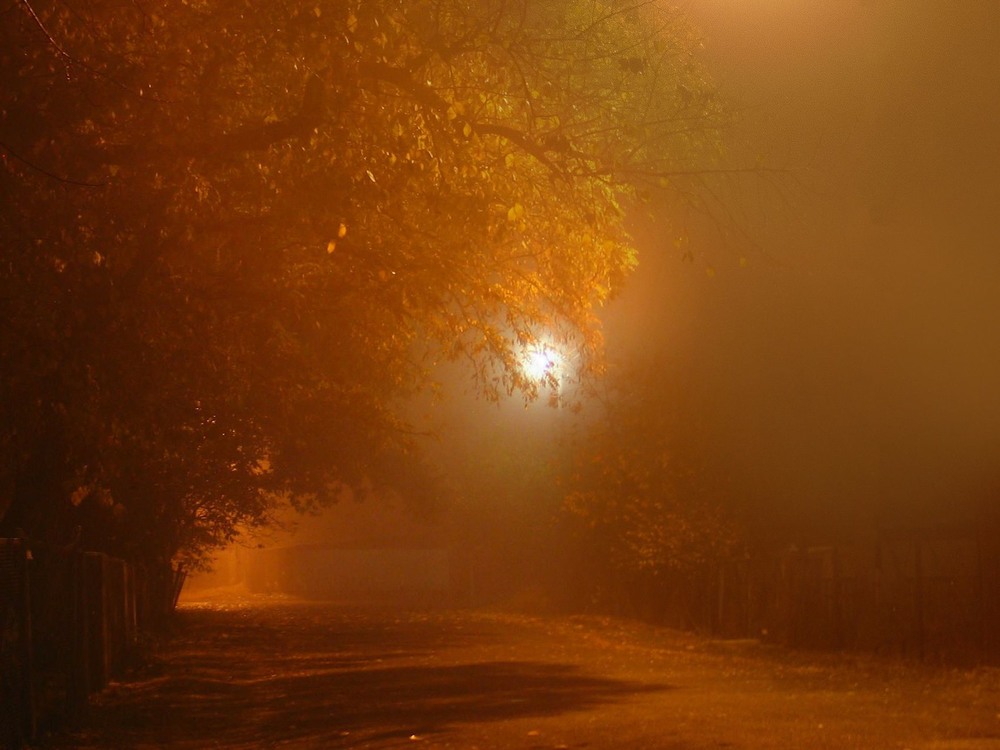 Фотографія Туман / Ночь / Фонари / Сергей Фирсов / photographers.ua
