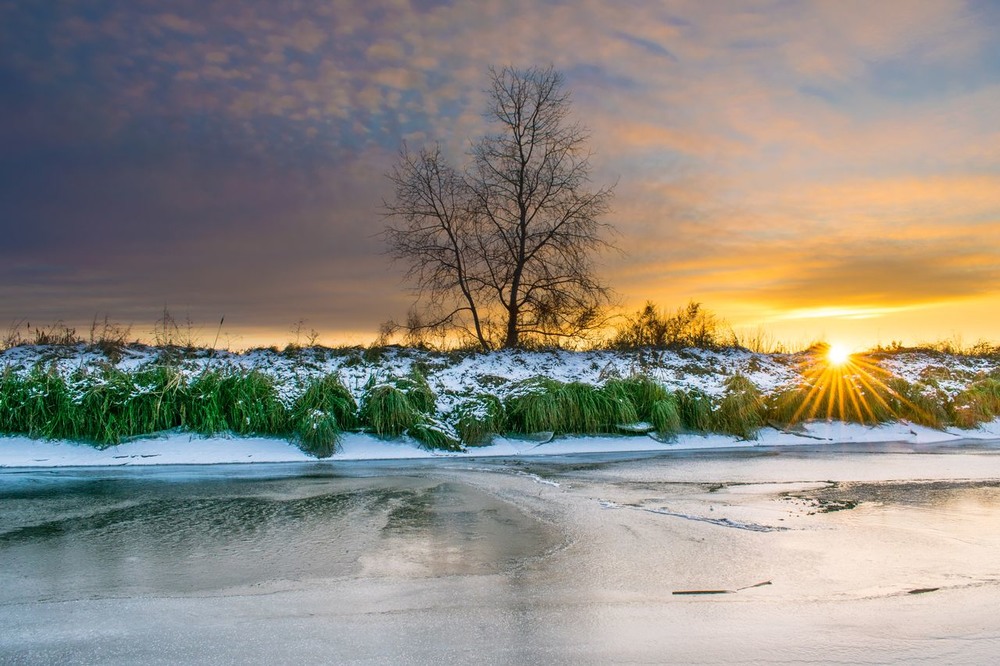 Фотографія лед и солнце / Сергей Фирсов / photographers.ua