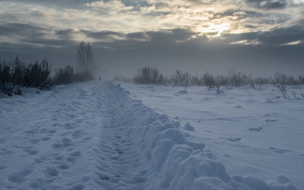 Фотографія #Through the Fog / Сергей Фирсов / photographers.ua