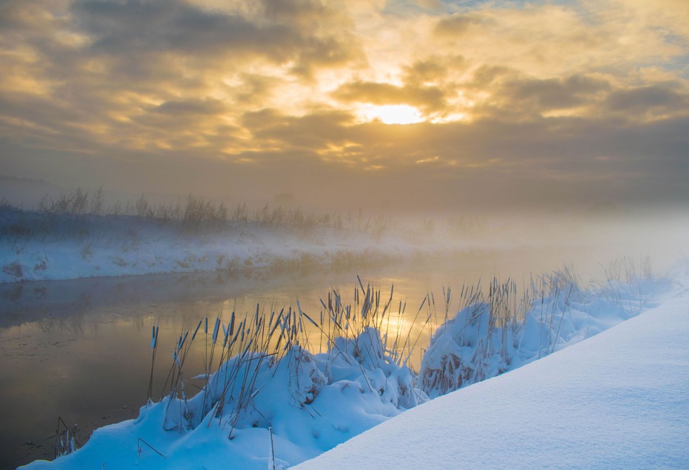 Фотографія Утро, солнце, туман, зима... / Сергей Фирсов / photographers.ua