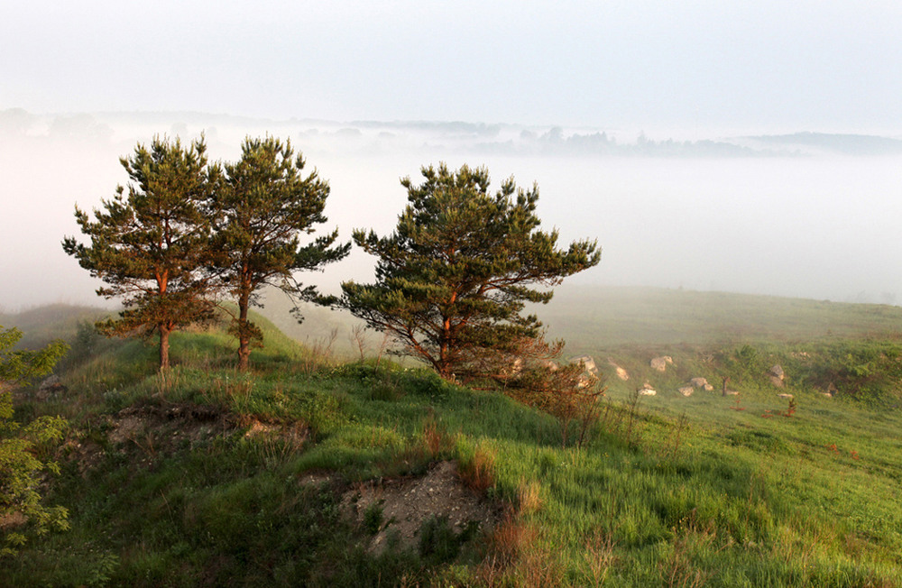 Фотографія Туман яром, туман долиною... / Володимир Дубас / photographers.ua