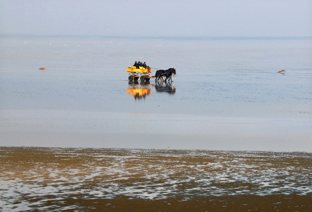 Фотографія Жовта бричка на Північному морі / Володимир Дубас / photographers.ua