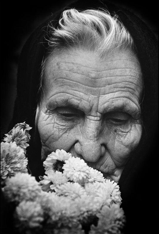 Фотографія Осінні квіти / Володимир Дубас / photographers.ua