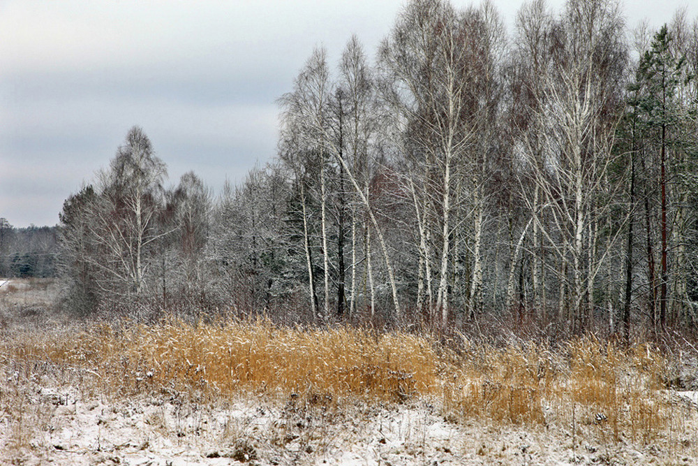 Фотографія Березень не відпускає зиму... / Володимир Дубас / photographers.ua