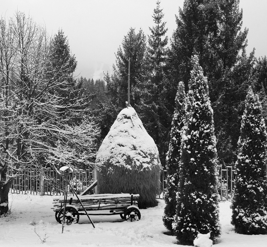 Фотографія Березневий сніг / Володимир Дубас / photographers.ua